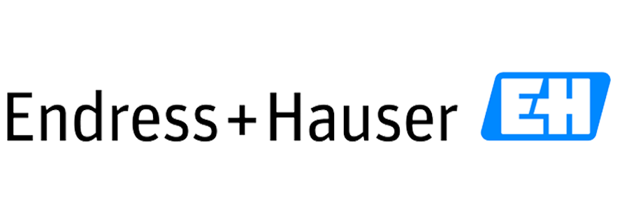 Endress+Hauser